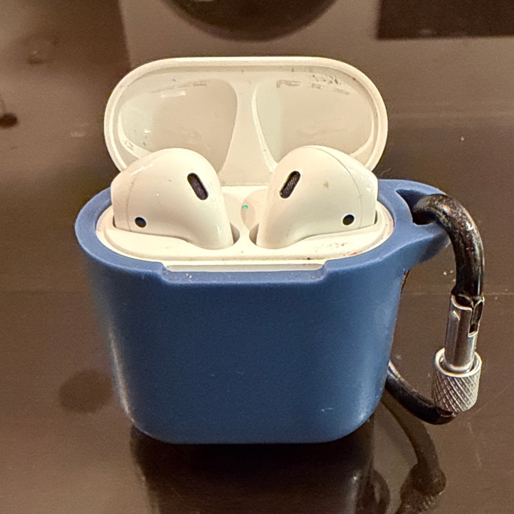 Apple Earbuds with Blue Protective Case
